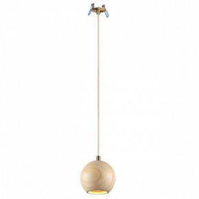 Подвесной светильник Odeon Light Caucho 7061/1 в Игре - igra.ok-mebel.com | фото