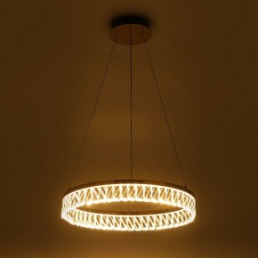 Подвесной светильник Rivoli Erika Б0061968 в Игре - igra.ok-mebel.com | фото 7