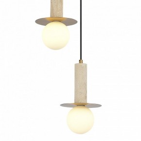 Подвесной светильник ST-Luce Earthy SL1194.303.03 в Игре - igra.ok-mebel.com | фото 4