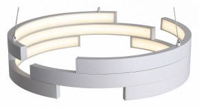 Подвесной светильник ST-Luce Genuine SL963.503.01 в Игре - igra.ok-mebel.com | фото