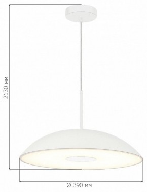 Подвесной светильник ST-Luce Lido SL6128.503.01 в Игре - igra.ok-mebel.com | фото 4