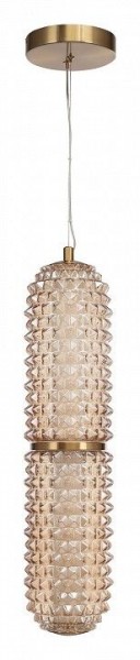 Подвесной светильник ST-Luce SAGUARO SL6144.303.01 в Игре - igra.ok-mebel.com | фото 3