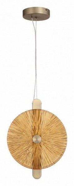 Подвесной светильник ST-Luce WASI SL6141.313.01 в Игре - igra.ok-mebel.com | фото 3