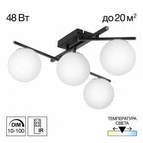 Потолочная люстра Citilux Dorsy CL223142 в Игре - igra.ok-mebel.com | фото 9