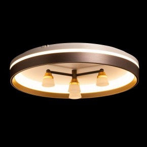 Потолочная люстра De City Семья 66 660014701 в Игре - igra.ok-mebel.com | фото 4
