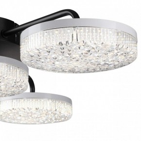 Потолочная люстра Lumion Didana 8236/4CL в Игре - igra.ok-mebel.com | фото 7