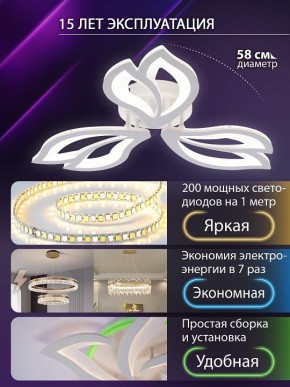 Потолочная люстра Natali Kovaltseva FORTUNA LED LAMPS 81107/2C в Игре - igra.ok-mebel.com | фото 6