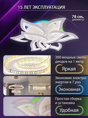 Потолочная люстра Natali Kovaltseva OLIMP LED LAMPS 81435 в Игре - igra.ok-mebel.com | фото 5