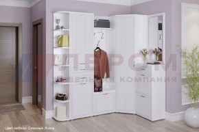 Прихожая Карина композиция 5 (Снежный ясень) в Игре - igra.ok-mebel.com | фото