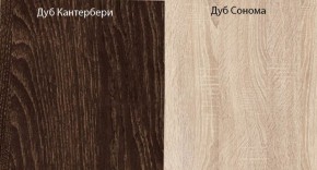 Прихожая-купе Смарт 3 (1000) в Игре - igra.ok-mebel.com | фото 5
