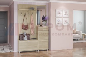 Прихожая Мелисса композиция 8 (Ясень Асахи) в Игре - igra.ok-mebel.com | фото