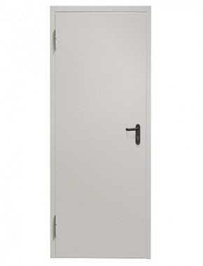 Противопожарная дверь Промет ДП 1 EIS-60 (Одностворчатая) Cветло-серый в Игре - igra.ok-mebel.com | фото
