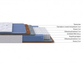 PROxSON Матрас Active Duo M/F (Ткань Трикотаж Эко) 120x190 в Игре - igra.ok-mebel.com | фото 2