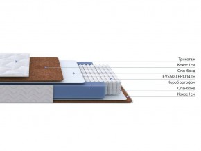 PROxSON Матрас Active F Roll (Ткань Трикотаж Эко) 120x195 в Игре - igra.ok-mebel.com | фото 2