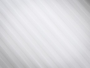 PROxSON Подушка Terra Ergo (Страйп сатин) 40x60 в Игре - igra.ok-mebel.com | фото 8
