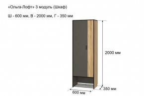 ОЛЬГА-ЛОФТ 3 Шкаф 2-х створчатый в Игре - igra.ok-mebel.com | фото 4