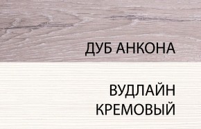 Шкаф 2DG, OLIVIA, цвет вудлайн крем/дуб анкона в Игре - igra.ok-mebel.com | фото 3