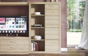 Шкаф комбинированный 1D OSKAR , цвет дуб Санремо в Игре - igra.ok-mebel.com | фото 3