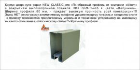 Шкаф-купе 1500 серии NEW CLASSIC K2+K2+B2+PL2(2 ящика+1 штанга+1 полка) профиль «Капучино» в Игре - igra.ok-mebel.com | фото 17