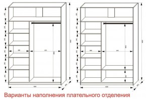 Шкаф-купе 1600 серии SOFT D6+D4+B2+PL2 (2 ящика+1штанга+1 полка) профиль «Капучино» в Игре - igra.ok-mebel.com | фото 8