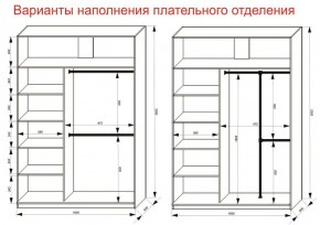 Шкаф-купе 1600 серии SOFT D6+D4+B2+PL2 (2 ящика+1штанга+1 полка) профиль «Капучино» в Игре - igra.ok-mebel.com | фото 9