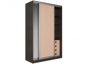 Шкаф-купе Рене 1500 вариант 3 (ЛДСП/Зеркало) в Игре - igra.ok-mebel.com | фото 4