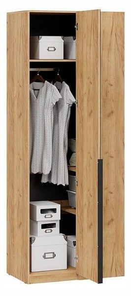 Шкаф платяной Джоли в Игре - igra.ok-mebel.com | фото 3
