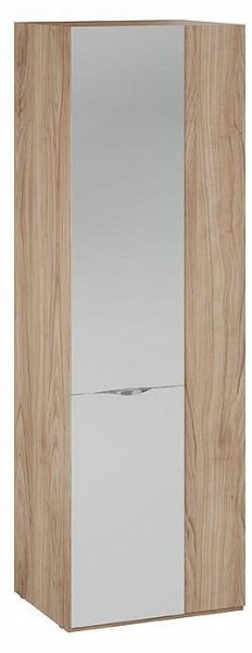 Шкаф платяной Глосс СМ-319.07.007 в Игре - igra.ok-mebel.com | фото
