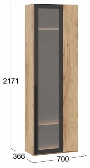 Шкаф платяной Порто СМ-393.07.233 в Игре - igra.ok-mebel.com | фото 3
