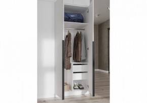 Шкаф платяной Широн в Игре - igra.ok-mebel.com | фото 3