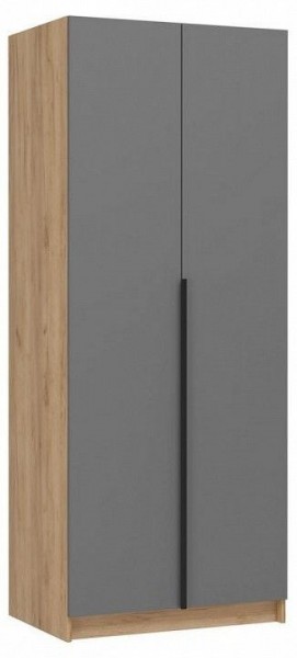 Шкаф платяной Широн в Игре - igra.ok-mebel.com | фото