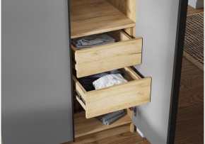Шкаф платяной Широн в Игре - igra.ok-mebel.com | фото 3
