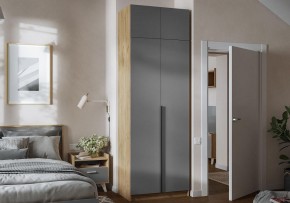 Шкаф платяной Широн в Игре - igra.ok-mebel.com | фото 4