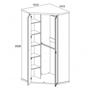 Шкаф угловой 2D, MAGELLAN, цвет Сосна винтаж в Игре - igra.ok-mebel.com | фото 2