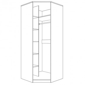 Шкаф угловой (корпус) Парма Нео в Игре - igra.ok-mebel.com | фото 4