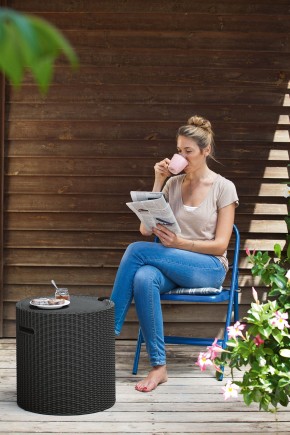 Столик-холодильник Кул-Стул (Cool stool) графит в Игре - igra.ok-mebel.com | фото