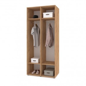 СТОУН С21 Шкаф 2-х створчатый (дуб золотой/графит) в Игре - igra.ok-mebel.com | фото 3