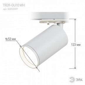 Светильник на штанге Эра  TR39-GU10 WH в Игре - igra.ok-mebel.com | фото 7