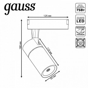 Светильник на штанге Gauss Track Light TR060 в Игре - igra.ok-mebel.com | фото 5