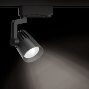 Светильник на штанге Gauss Track Light TR061 в Игре - igra.ok-mebel.com | фото 2