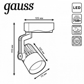 Светильник на штанге Gauss Track Light TR061 в Игре - igra.ok-mebel.com | фото 6