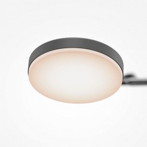 Светильник на штанге Maytoni Fad MOD070CL-L15B3K1 в Игре - igra.ok-mebel.com | фото 7