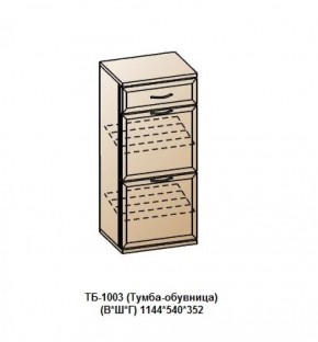 ТБ-1003 (Тумба-обувница) в Игре - igra.ok-mebel.com | фото
