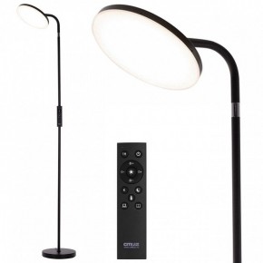 Торшер Citilux SOLO CL804061 в Игре - igra.ok-mebel.com | фото 2