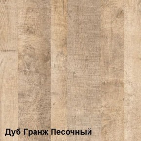 Трувор Шкаф 13.204 в Игре - igra.ok-mebel.com | фото 4