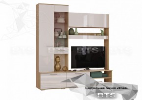ФЛАЙ Центральная секция ЦС-01 (дуб сонома/белый) в Игре - igra.ok-mebel.com | фото 2