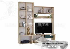 ФЛАЙ Центральная секция ЦС-01 (дуб сонома/белый) в Игре - igra.ok-mebel.com | фото 4