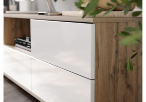 Тумба под ТВ Маллоу в Игре - igra.ok-mebel.com | фото 4