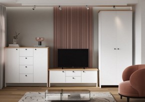 Тумба под ТВ Теодора в Игре - igra.ok-mebel.com | фото 4