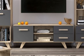 Тумба под ТВ Вега Скандинавия в Игре - igra.ok-mebel.com | фото 7